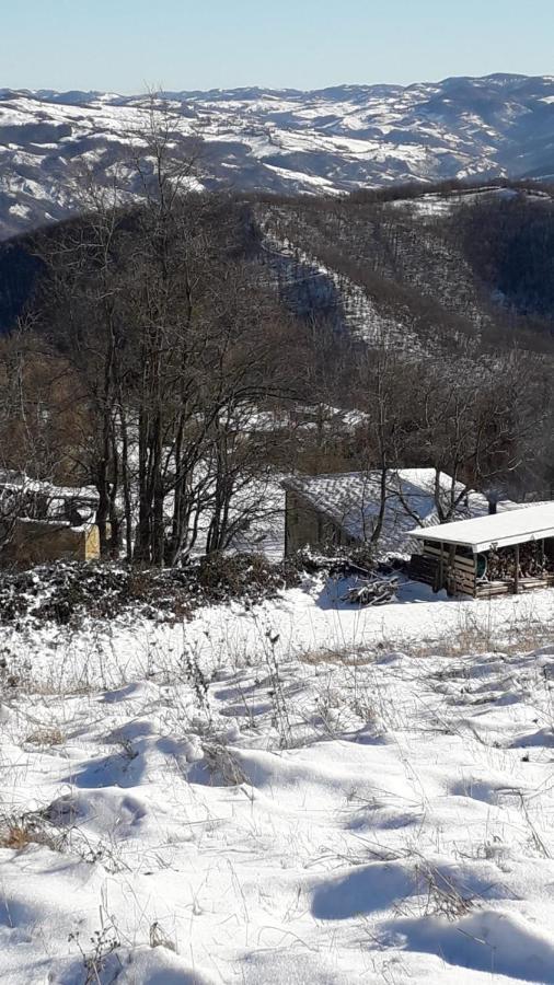 La Tana Del Picchio Villa Neviano degli Arduini Luaran gambar