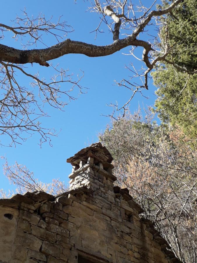 La Tana Del Picchio Villa Neviano degli Arduini Luaran gambar