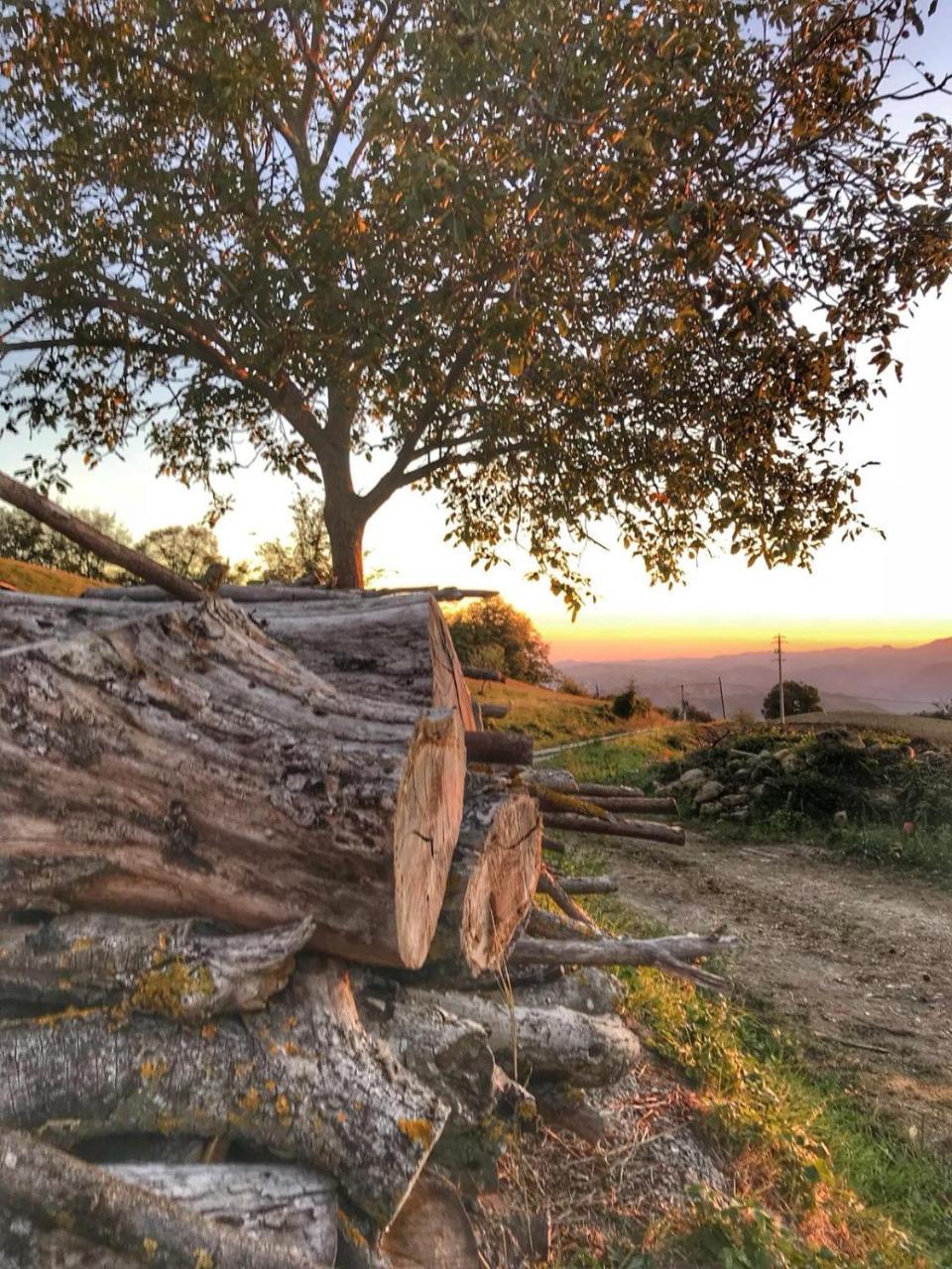 La Tana Del Picchio Villa Neviano degli Arduini Luaran gambar