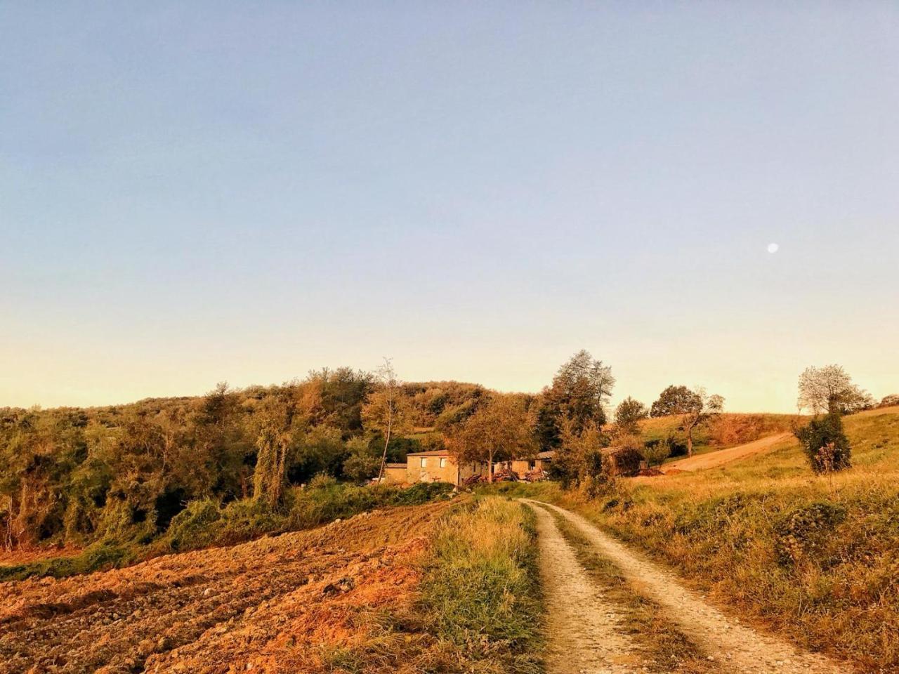 La Tana Del Picchio Villa Neviano degli Arduini Luaran gambar