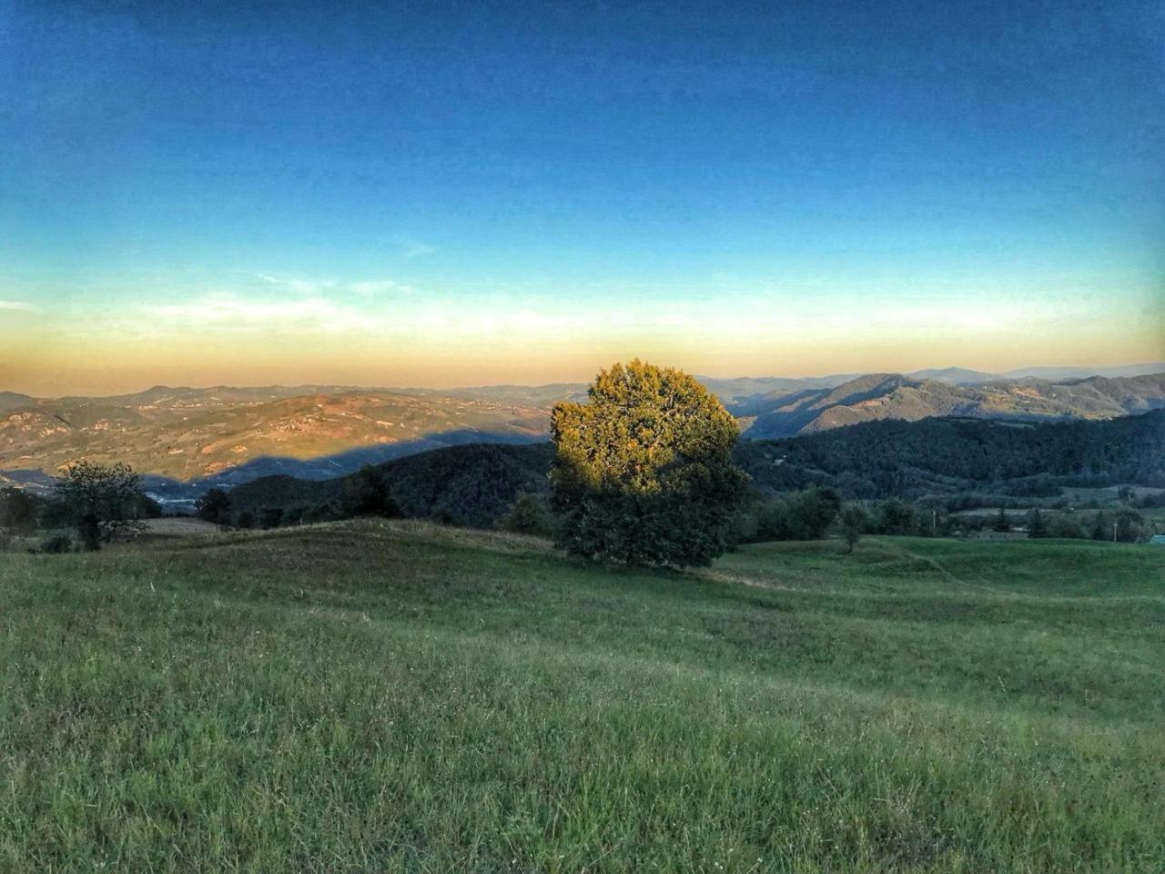 La Tana Del Picchio Villa Neviano degli Arduini Luaran gambar